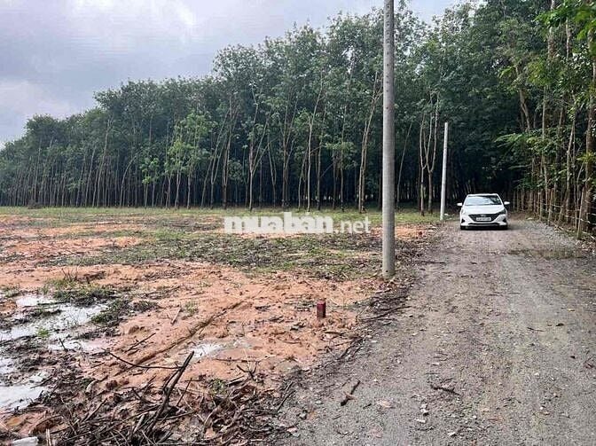 Đất Nền Chính Chủ Bán Nhanh Để Về Quê