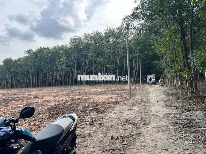 Đất Nền Chính Chủ Bán Nhanh Để Về Quê