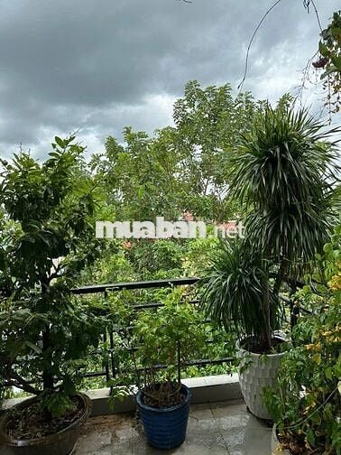 NHÀ FULL NỘI THẤT  HXH NGUYỄN THỊ ĐẶNG-DT5x21m 2 LẦU 4PN 2WC