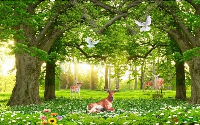 Tranh gạch 3d phong cảnh phong thủy - XXC64