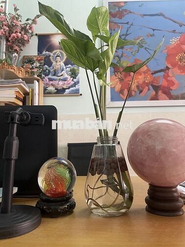 Nhà hẻm to, 90m2, 2PN khép kín, đường Nguyễn Xuân Nhĩ, QN