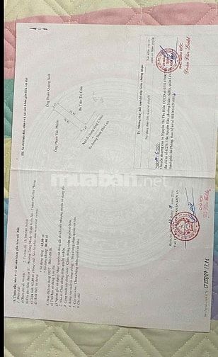 Bán 63m2 đất đẹp vuông vắn SĐCC tại Tràng Minh ,Phù Lưu Kiến 