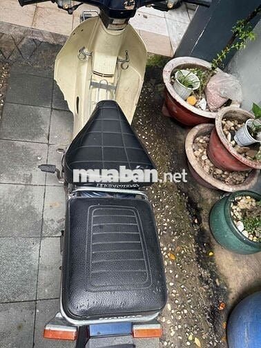 bán Cub Custom 2000