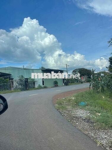 đất sào đồng phú đồng nai giá rẻ