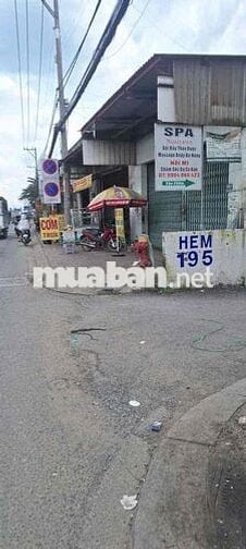 Đất Thổ Cư Hẻm Xe Hơi Phường An Phú Đông Q12