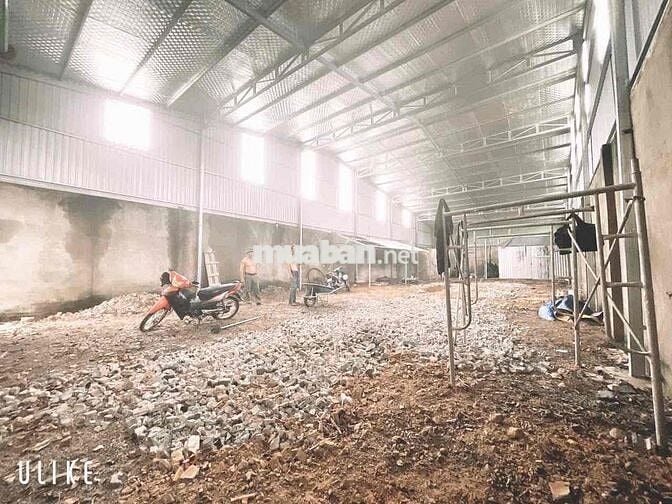 Cho thuê kho (270m2), mặt tiền đường xe Cont, Thạnh Phú, Vĩnh Cửu.