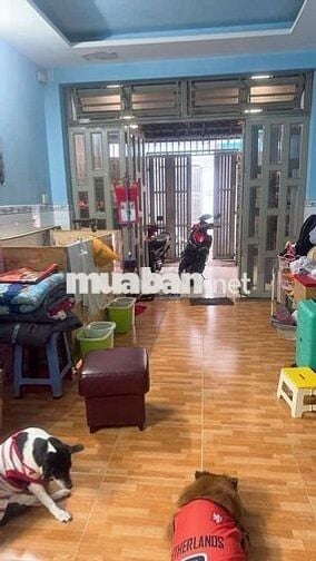 🎉🎉LÊN SÓNG CĂN NHÀ BÙI QUANG LÀ