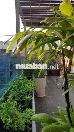 Hàng Hiếm, Bùi Minh Trực, chỉ *** 1 căn bán, 80,9m2, Dòng Tiền 30