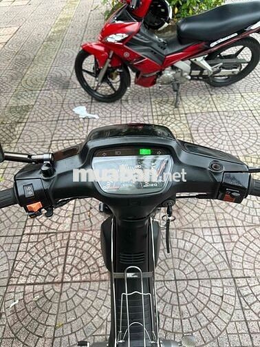 dream lùn full mới vĩnh long