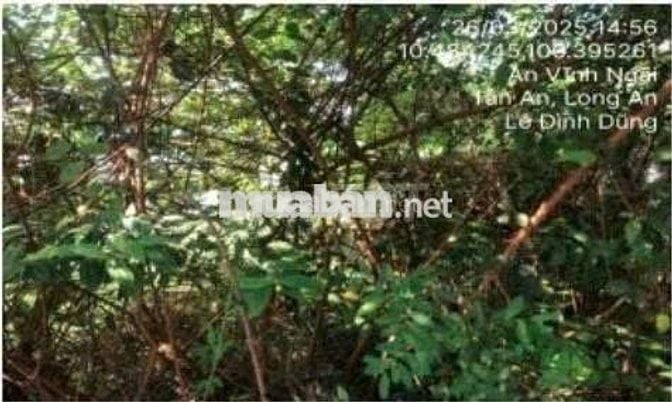 Bán ĐGTS đất tại phường Tân An, tỉnh Tây Ninh