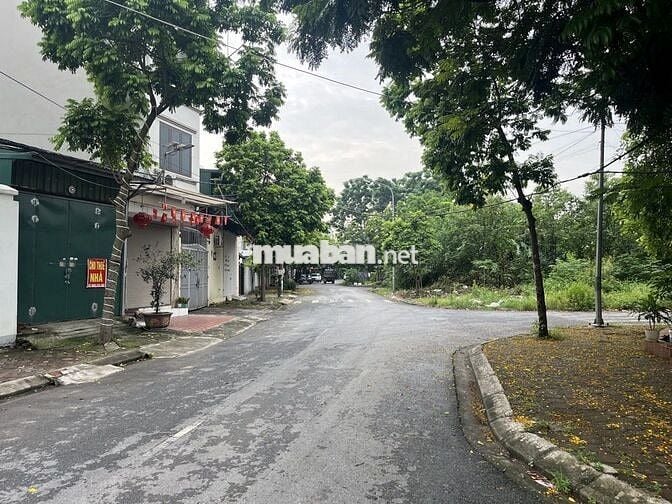 Bán gấp Đất Liên Ninh ô tô,phân lô ,mặt tiền khủng ,giá 11.2 tỷ