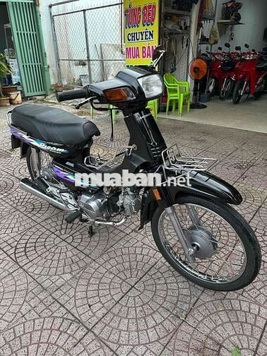 dream lùn full mới vĩnh long