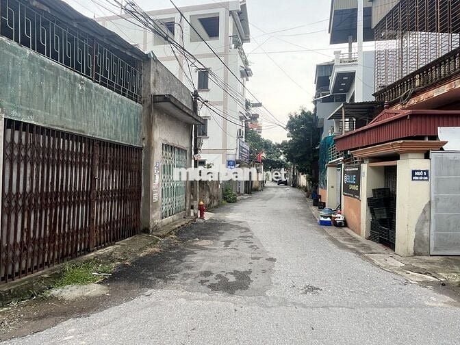 Bán gấp Đất Liên Ninh ô tô,phân lô ,mặt tiền khủng ,giá 11.2 tỷ