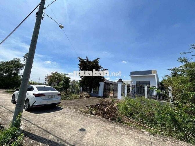 Bán Nhà Vườn 500m2 Đối Diện Bệnh Viện Đa Khoa Tân An