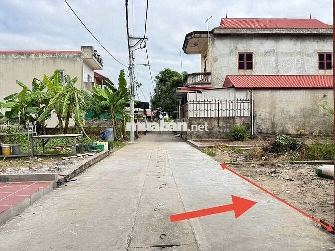 Bán đất thôn Ấp Tre (Tổ 9), xã Quang Minh, TP HN. Gần trường CD Y