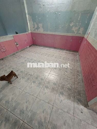 Cho thuê nhà] MT đường LÊ NIỆM: 4.2x18m, Đúc 2 Lầu, 5PN, giá 17 triệu