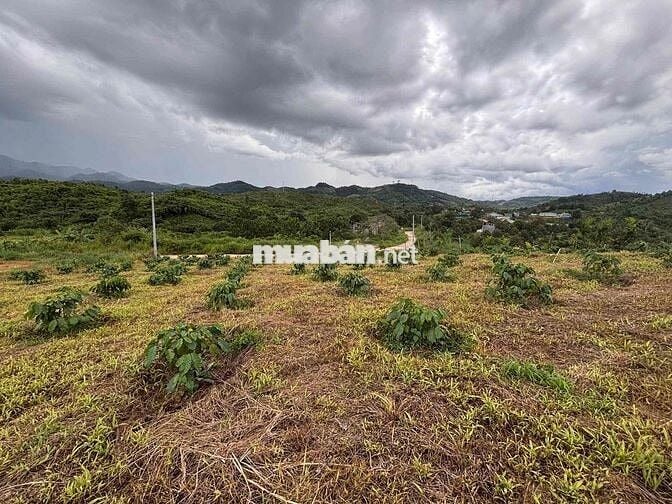 cần bán đất vườn có mặt tiền đường tại Lộc Bảo, Bảo Lâm