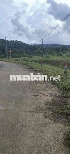 cần bán đất vườn có mặt tiền đường tại Lộc Bảo, Bảo Lâm