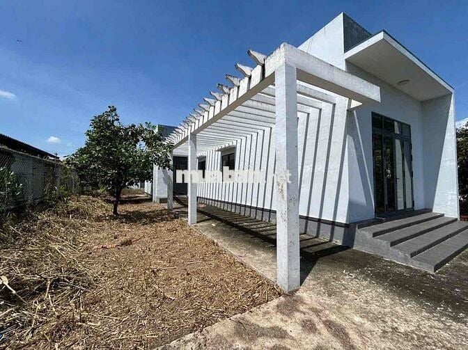 Bán Nhà Vườn 500m2 Đối Diện Bệnh Viện Đa Khoa Tân An