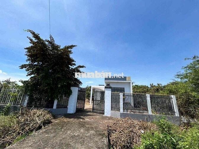 Bán Nhà Vườn 500m2 Đối Diện Bệnh Viện Đa Khoa Tân An