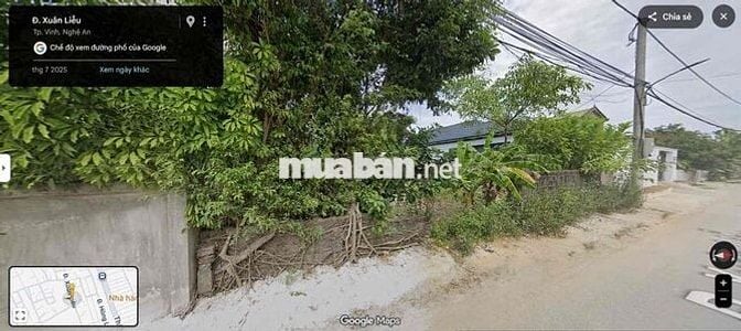 Đất biệt thự, mặt tiền đường Xuân Liễu,