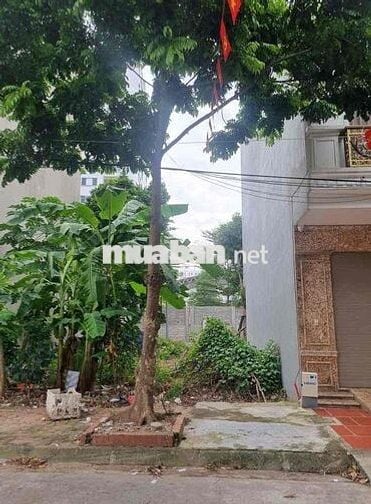 Bán đất Dọc Bún1 La Khê Vạn Phúc đất 2 mặt tiền S50 Mt5 Giá 14.36 Tỷ