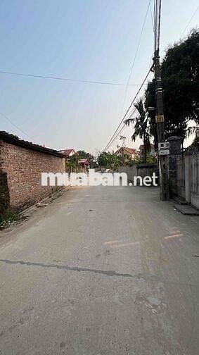 Bán Đất Đoan Bái Hiệp Hoà Bắc Giang