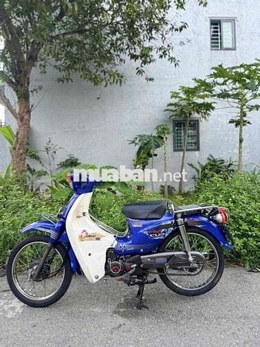 cup 50cc cho học sinh