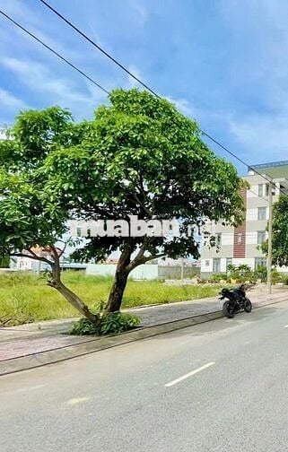 Bán lô đất đường An Phú Đông 13, P. An Phú Đông, TP. Hồ Chí Minh