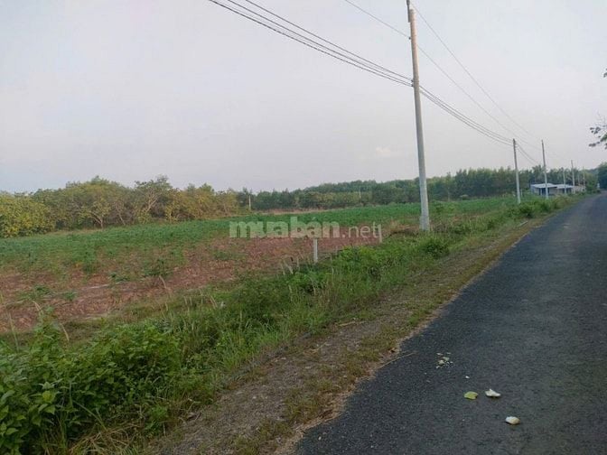 Cần bán gấp đất tại xã Lộc Ninh, Bình Phước