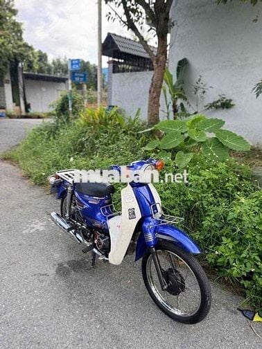 cup 50cc cho học sinh