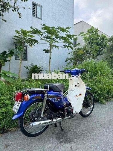 cup 50cc cho học sinh