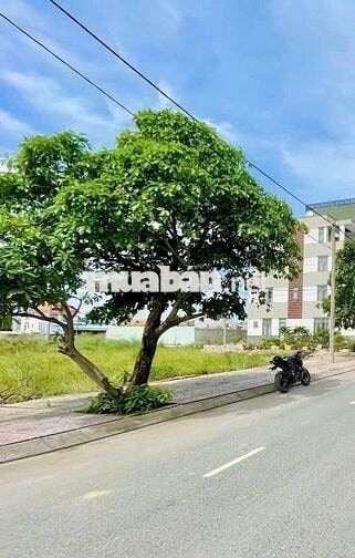 Bán lô đất đường An Phú Đông 13, P. An Phú Đông, TP. Hồ Chí Minh