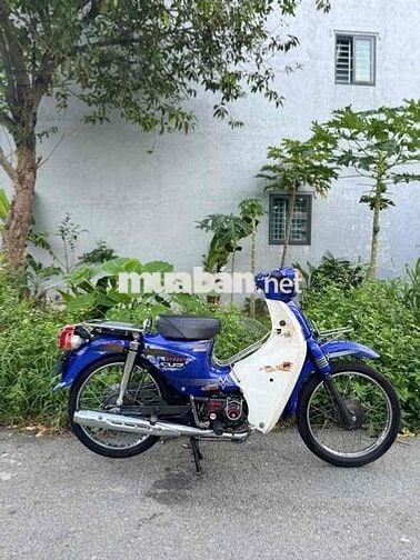 cup 50cc cho học sinh