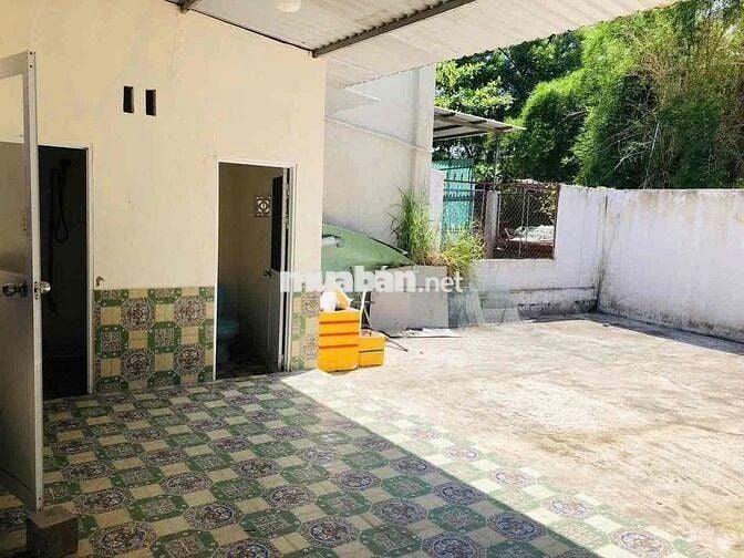 Mặt tiền Huỳnh Văn Luỹ 6,5x40m giá thuê 12tr/tháng trừ hàng ăn