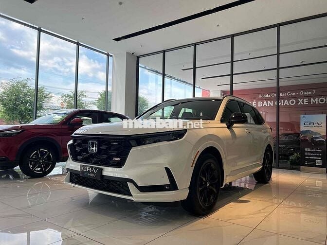 Honda CRV e:HEV RS, 1 xe Trắng cuối cùng, vay bao