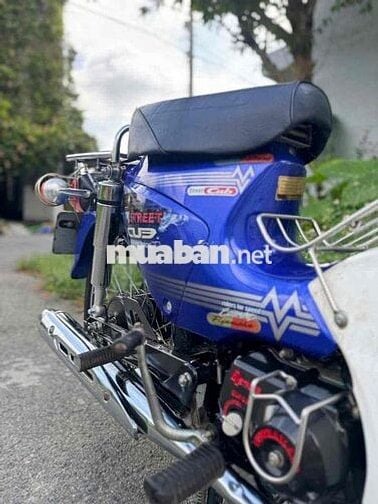 cup 50cc cho học sinh