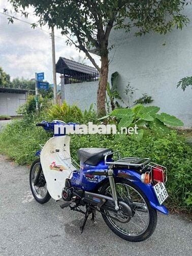 cup 50cc cho học sinh