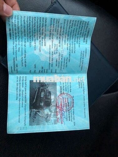 2021 Tiêu chuẩn - 63000 km