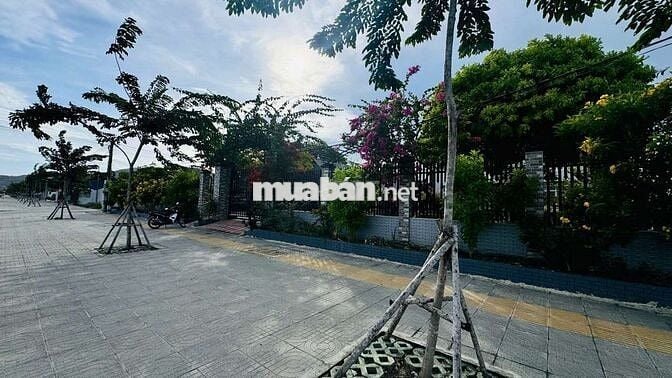 🔺ĐẤT NGHỈ DƯỠNG CÁCH QUẢNG TRƯỜNG PHƯỚC HẢI CHỈ 1,3KM

✅DT 520m2