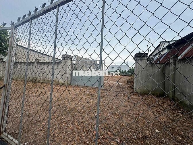 Bán đất đường nhựa trung tâm Tân Vĩnh Hiệp(phường Tân Khánh- Tp HCM)