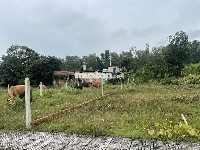 SIÊU PHẨM ĐẤT MẶT TIỀN NGUYỄN VĂN KHẠ CHỈ 8TR/M2 - SHR