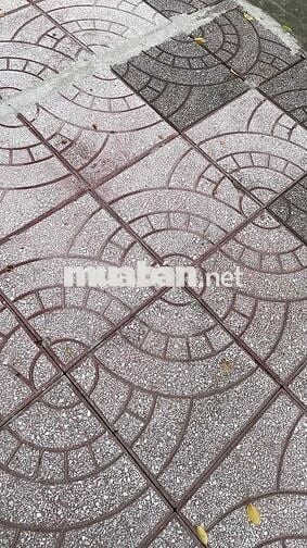 Kia K3 2024 Premium 1.6 AT - 8000 km