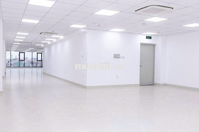 Cho thuê văn phòng đường Cộng Hòa, dt 220m²