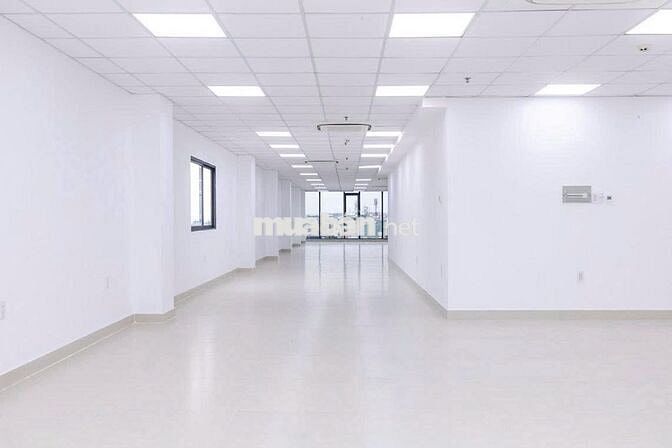 Cho thuê văn phòng đường Cộng Hòa, dt 220m²