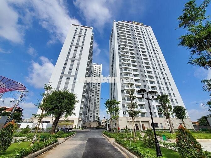 Cho thuê căn hộ 2PN2WC giá rẻ Thuận An - Iris Tower nhà mới giá tốt