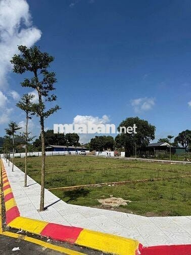 ĐẤT SỔ ĐỎ CHÍNH CHỦ – SỞ HỮU NGAY 100M² FULL THỔ CƯ TẠI HÒA LẠC!