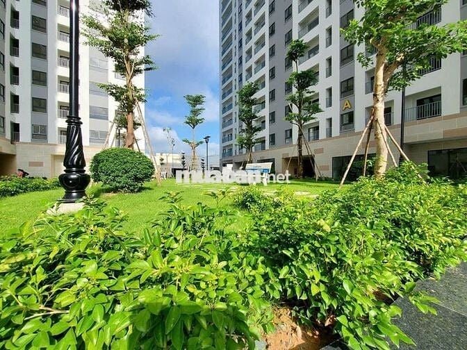 Cho thuê căn hộ 2PN2WC giá rẻ Thuận An - Iris Tower nhà mới giá tốt