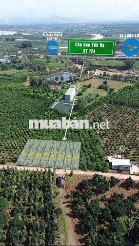 BÁN ĐẤT GIÁ RẺ ĐINH VĂN LÂM HÀ