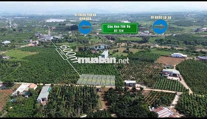 BÁN ĐẤT GIÁ RẺ ĐINH VĂN LÂM HÀ